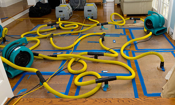 Professional Structural Drying And Dehumidification technician working in Burbank, IL